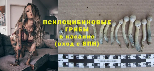 МДМА Инсар