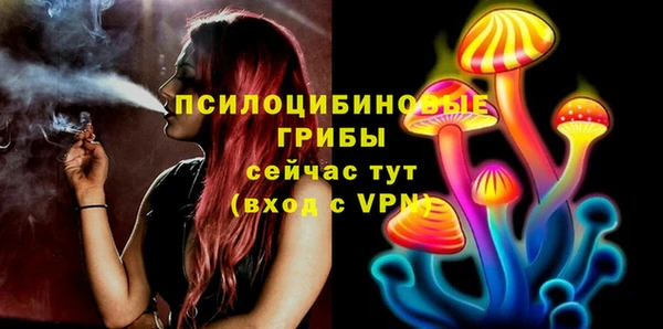 МДМА Инсар