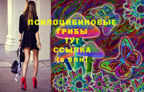 дурь Иннополис