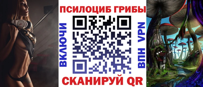 Псилоцибиновые грибы мицелий  Санкт-Петербург 